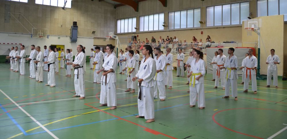 Passage de grades de karaté Kyokushinkai zone sud 2019